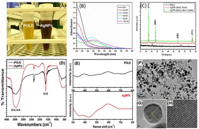 Biosynthesized Silver Nanoparticle (AgNP) From Pandanus odorifer Leaf Extract Exhibits Anti-metastasis and Anti-biofilm Potentials